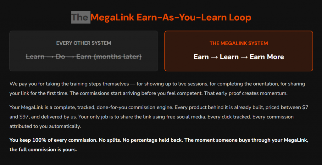 megalink review