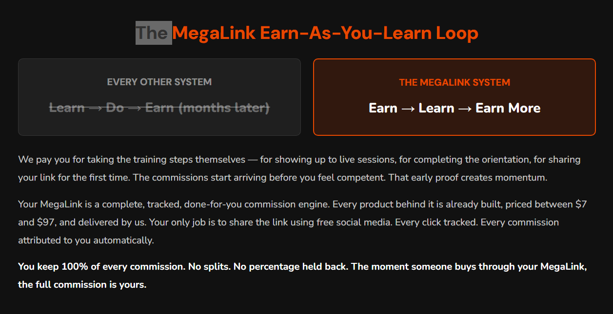 megalink review